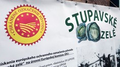 Stupavské zelé je jedinečná potravina v Európe