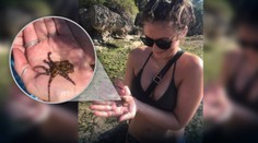 VIDEO: Turistka sa fotila s chobotnicou v rukách. Netušila, že ju môže ľahko zabiť