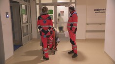 Choroby nesviatkujú. Strávili sme vianočné popoludnie na urgentnom príjme