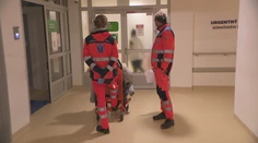 Choroby nesviatkujú. Strávili sme vianočné popoludnie na urgentnom príjme