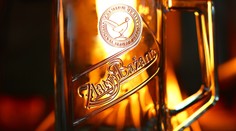 Zlatý Bažant: tradícia a originalita zakorenená v DNA