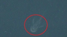 Satelitné zábery ako dôkaz? Záhada Lochneskej príšery opäť ožíva