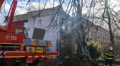 Vodič v Bratislave zaparkoval a odišiel. Jeho auto neskôr odfúklo a narazilo do stromu