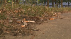 Všimli ste si niekedy, čo máte pod nohami? Fajčiari ani len netušia, ako dlho sa rozkladá ohorok