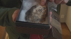 Slovensko má konečne svoju kostru z éry dinosaurov: Objavili ju úplne náhodou