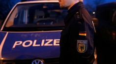 Slováci havarovali na nemeckej diaľnici, prevážali levíča a údajne aj tukana