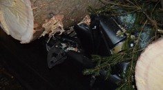 Neuveriteľná smola! Na osobné auto v Malužinej spadli dva stromy