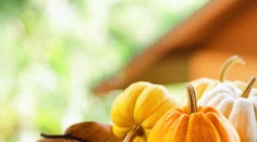 Zázračná tekvica ako prevencia proti rakovine