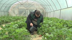 Mladý pestovateľ nám otvoril brány do záhrad, ktoré len málokto videl. Nie vždy ide všetko podľa jeho predstáv