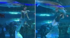 VIDEO: Animátorku v akváriu napadol obrovský jeseter. Ryba jej pred zrakmi kričiacich detí pohltila hlavu