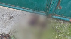 Krvavý incident pri Hlohovci. Našli tam dobodaného muža, podozrivou má byť príbuzná bývalého policajného funkcionára