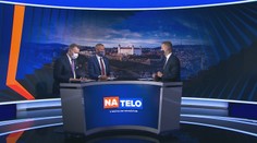 Čo sa stane skôr: Koniec vládnej koalície alebo vznik Pellegriniho strany?