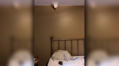 Ženu takmer zabil meteorit. Prerazil jej strechu a dopadol rovno do postele, kde spala