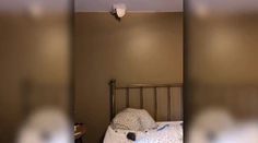 Ženu takmer zabil meteorit. Prerazil jej strechu a dopadol rovno do postele, kde spala