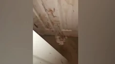 Keď prišli domov, všade bola krv. Pozreli sa na svojho psa a pochopili
