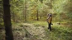 Stretov s medveďmi napriek ich masívnemu odstrelu neubúda. Príčiny sme nemuseli hľadať dlho