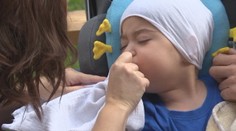 Ich šťastný život trval tri roky. Maťko sa po operácii domov vrátil aj nevrátil