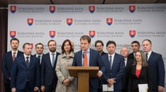 Toto je nová tieňová vláda: OĽaNO predstavilo ministrov