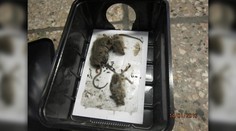 Ako dopadol obchod na vašej ulici? Tu je zoznam tých najhorších