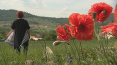 Jana si prešla peklom. So smrťou syna, ktorého zabili drogy, sa vyrovnáva písaním básní