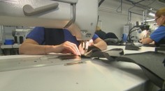 Ak by sa pani Iveta neozvala, prišla by o príspevok na dochádzanie za prácou