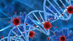 Slovenskí vedci sú už len kúsok od klinických testov vlastného lieku na rakovinu