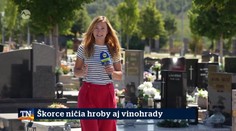 Škorce ničia hroby aj vinohrady