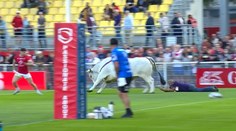 VIDEO: Kto mohol, utekal. Hráčov vydesil počas rozcvičky na ihrisku býk