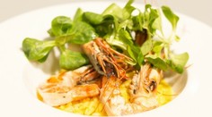 RECEPT NA DNES: Šafránové rizoto s krevetami