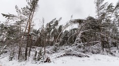 Na horách hrozí víchrica, vietor môže v noci dosiahnuť extrémnu rýchlosť
