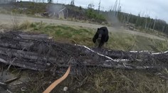 Muža napadol zúrivý medveď. Útok nakrúcal kamerou