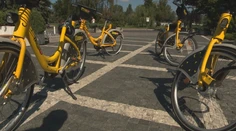 Stal sa fenoménom, ale aj terčom vandalov: Ako funguje bikesharing v Bratislave?