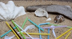 Británia sa púšťa do boja s plastom. Zakáže slamky, miešadlá aj tyčinky do uší