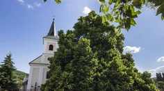 Na Slovensku sa napoludnie rozozneli kostolné zvony za obete covidu