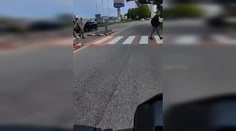Jazdí na červenú a natáča sa pri tom. Anonymná vodička má zákaz šoférovať, tvrdí polícia