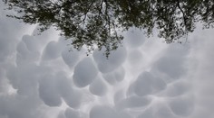 Nad Bratislavou sa objavili „bublinkové oblaky". Meteorológ vysvetlil, ako vznikajú