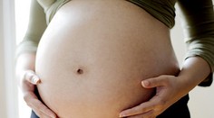 Orechy v tehotenstve? Vraj ochránia bábätko pred alergiou