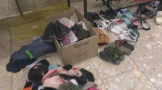 Vianočný stromček a iné kuriozity. Pozrite sa, čo deti zabudli v školských skrinkách