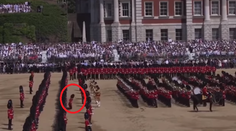 Mocní muži padali ako hnilé hrušky. Nezvládli čakanie na kráľovnú