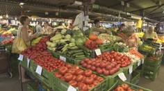 Ovocie či zelenina? Možno neviete, do ktorej kategórie patria niektoré potraviny