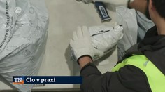 Clo v praxi