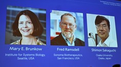 Nobelovu cenu za medicínu získali traja vedci za výskum autoimunitných ochorení