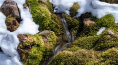 Mrazivé teploty sa dlho neudržali. Bude sa otepľovať