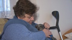 Už mesiace sa nevie dovolať spravodlivosti, z pohľadu úradov je všetko správne