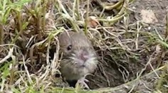 Zima tento rok zlyhala: Tu je jeden z následkov