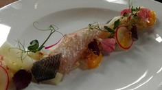Marinovaný pstruh s kalerábom, jablkom a marhuľovým pyré