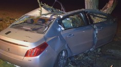 Tragická dopravná nehoda: Život mladého muža vyhasol po prudkom náraze do stromu