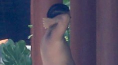 Slávny spevák sa opustil: S pivným bruchom by ste ho nespoznali ani náhodou