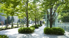 Vincze sa opýtal rovnaké otázky každého primátora okresného mesta. Výsledky sú podľa neho smutné