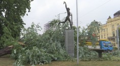 Na upratovanie už kapacitne nestačia, radnica vydala výzvu pre dobrovoľníkov. Prešov bilancuje škody po víchrici